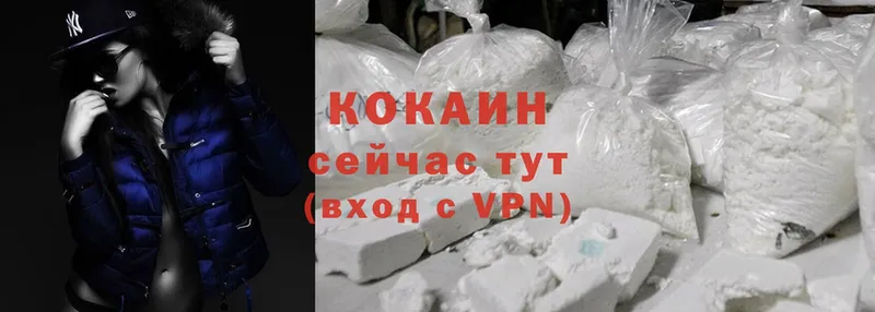 Cocaine Эквадор  продажа наркотиков  Каменск-Шахтинский 